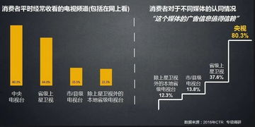 主流电视媒体平台