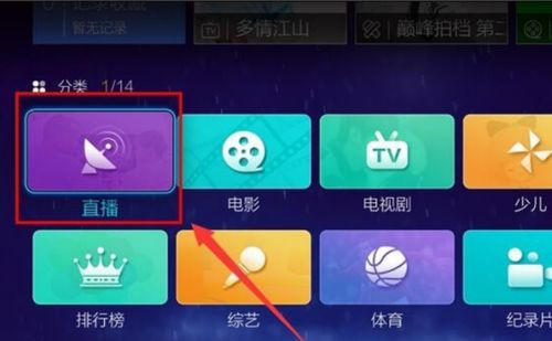 电视直播平台选择