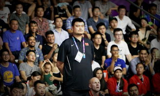 预选赛阶段的主客场制特点