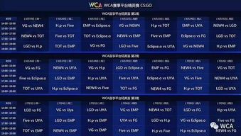 官方赛事平台观看指南