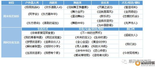 传统电视台直播矩阵解析