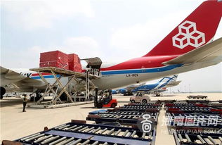 问题1：郑州机场航空加急件服务的配送范围有哪些？