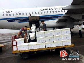 虹桥航空国内货运,虹桥空运提货处在哪里
