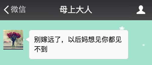 虹桥跨省一天空运,虹桥空运站