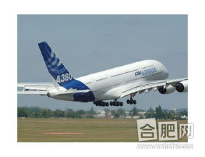 一、浦东机场空运服务概览