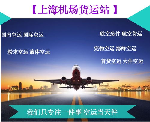 了解浦东航空运输服务
