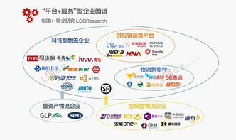 一、了解物流流程与影响因素