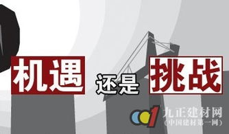 行业背景与挑战
