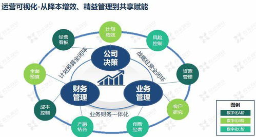 行业背景与服务需求