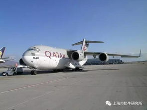 咸阳空运服务公司的战略布局与服务范围