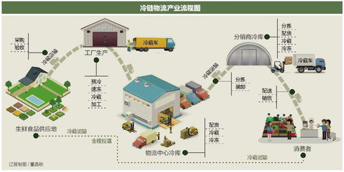 航空冷链运输的时效保障机制