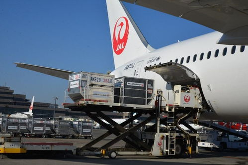 咸阳航空货运设备行业现状与市场需求