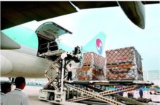 江北货物空运公司介绍