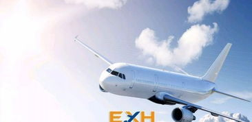 江北航空公司快件服务特点