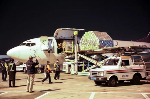 江北航空货运公司介绍