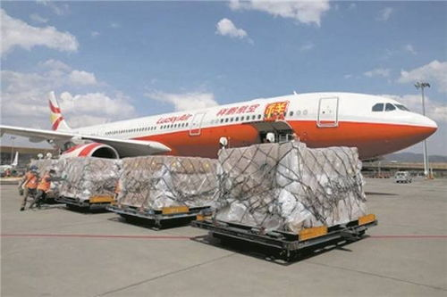江北航空运输水产概述