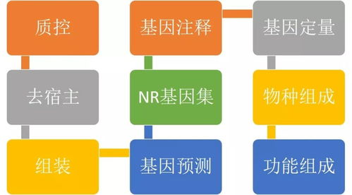 一、空运流程的规范化操作