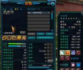 一、qq西游私服发布网现状概述