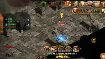 新开传奇外传SF的特点