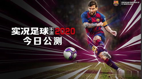 足球数据实时更新平台,球迷的实时信息中心