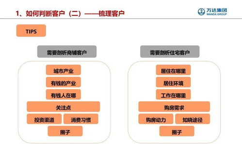 海洋巨兽的官方指南:鲸鱼体育官方下载