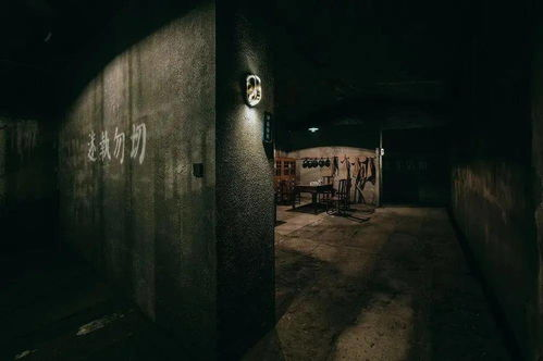 地牢女孩在线观看免费正版,《地牢女孩》在线观看完整版高清