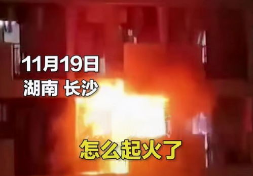 电影天堂哪吒2第二部在线观看视频,哪吒2在线观看免费完整版西瓜