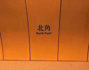 电影天堂首发下载网站