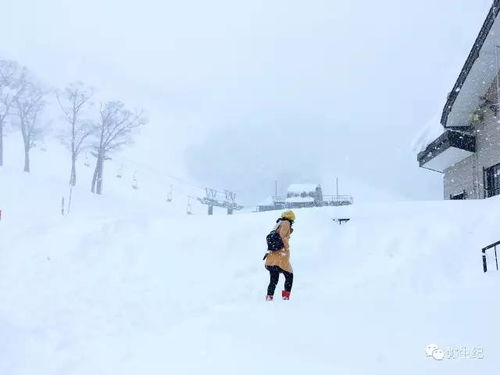 雪域秘境开启 揭开十年谜局