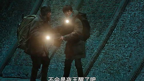 藏海花12完整版百度云,藏海花百度云资源