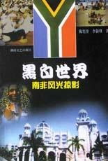 黑白世界的血色玫瑰：狂飙女性群像解析