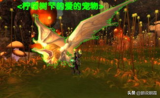 1688免费行情网站：数据宝藏还是信息迷宫？