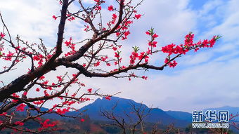 【诗与歌的世纪相遇】