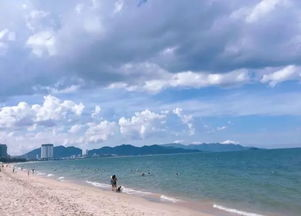 迷雾笼罩的椰林海岸线