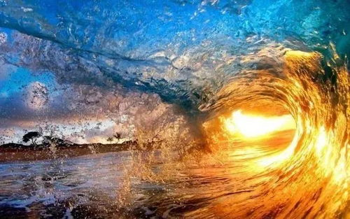 阳光海浪与数字化福利的双重盛宴