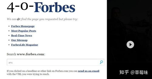 当404页面成为生存密码