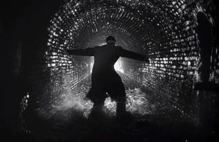 霓虹灯下的阴影：一部叩击时代神经的黑色电影