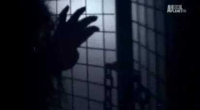 当科技牢笼遇上失控的人性