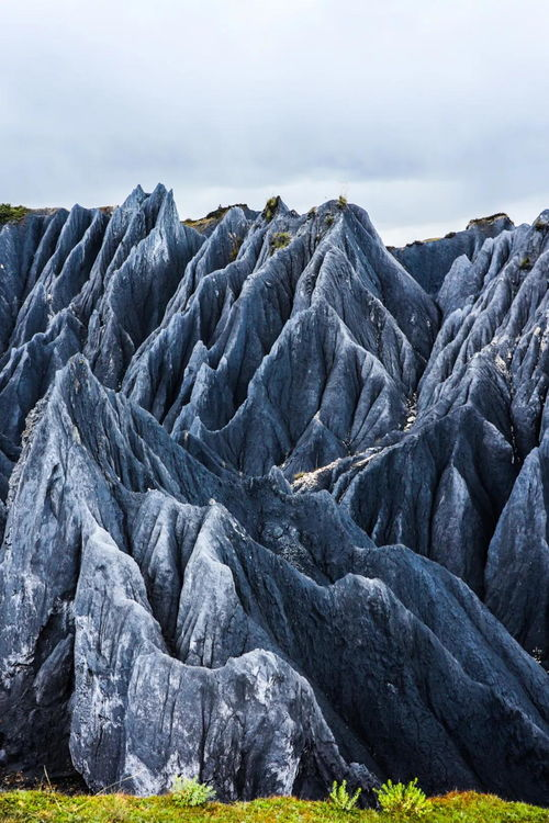 ■ 藏在免费片单里的国产宝藏