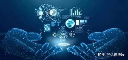 【数据洪流中的爱情标本】