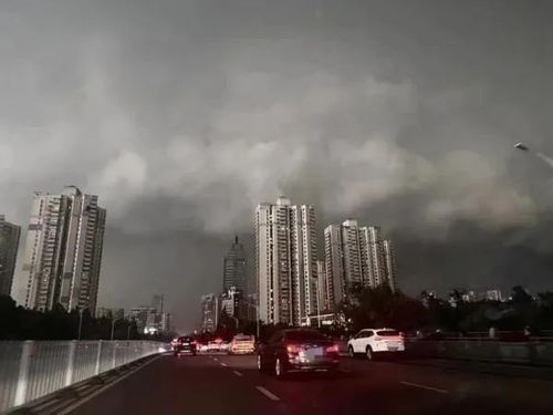 一场暴雨掀开的阶层伤疤