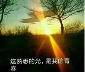 在时光裂缝中寻找真相的绝美旅程