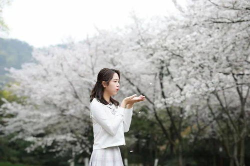 在温柔与疼痛交织的青春里,谁不是既渴望又恐惧亲密?