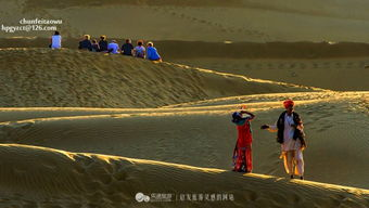 【黄金沙漠中的光影迷局】