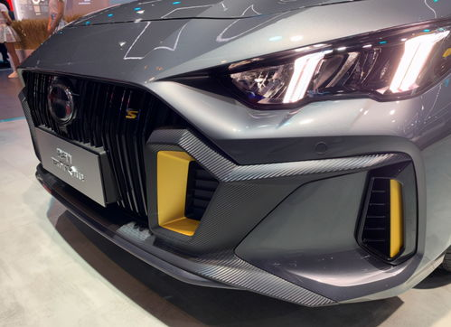 ▍一部打破刻板印象的中东女性宣言