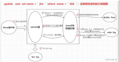一、更新概述与主要变动