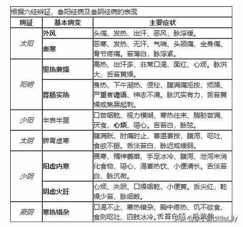 一、奇经八脉系统概述