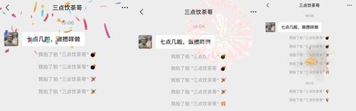 一、版本背景与更新亮点