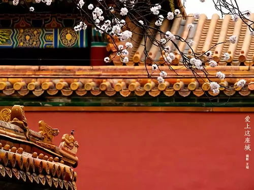 一、修真起源与文化底蕴