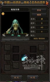 一、斗战神宠物分类与特点